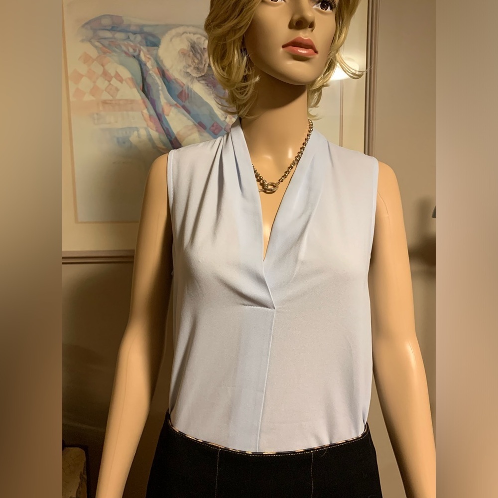 Dex Blouse Pale Blue Sleeveless Size Medium